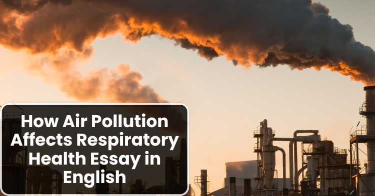 How Air Pollution Affects Respiratory Health