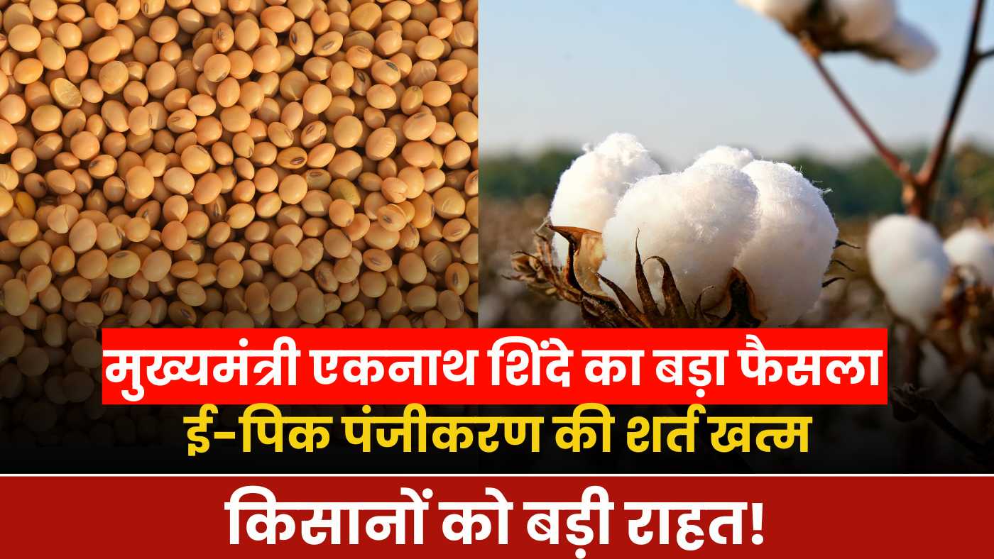 Kapus soybean anudan Yojana