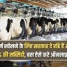 Apply Dairy Farm Loan